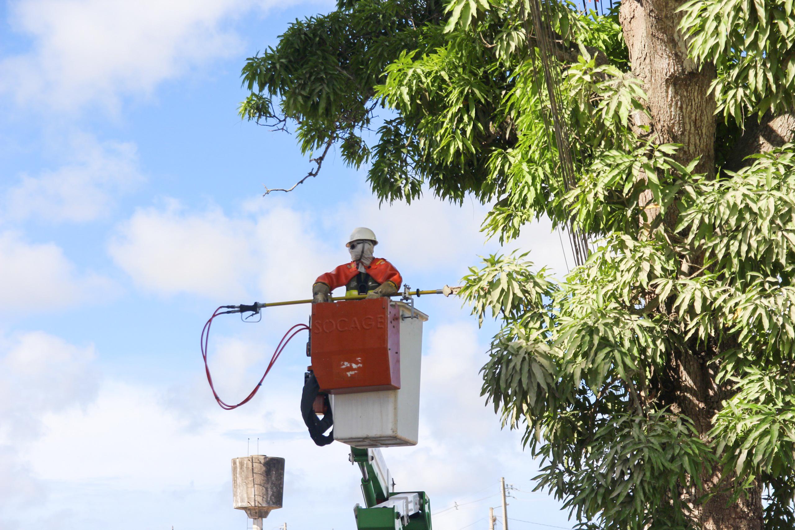 WhatsApp Image 2025-05-08 at 17.00.28(2).jpeg