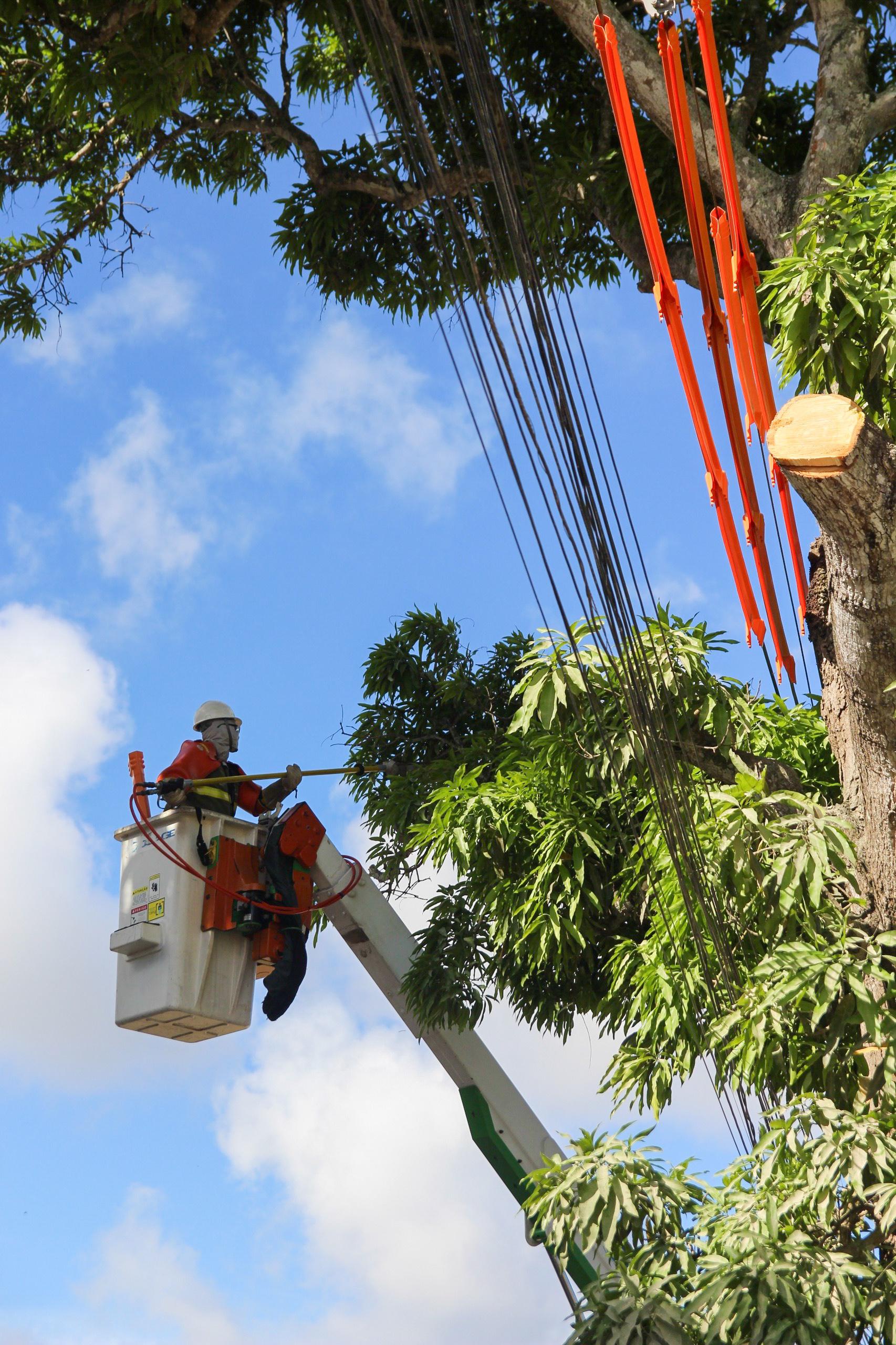 WhatsApp Image 2025-05-08 at 17.00.29(2).jpeg