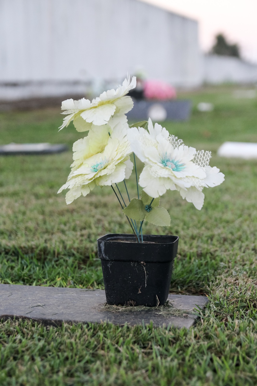 WhatsApp Image 2025-06-11 at 22.01.49 (4).jpeg