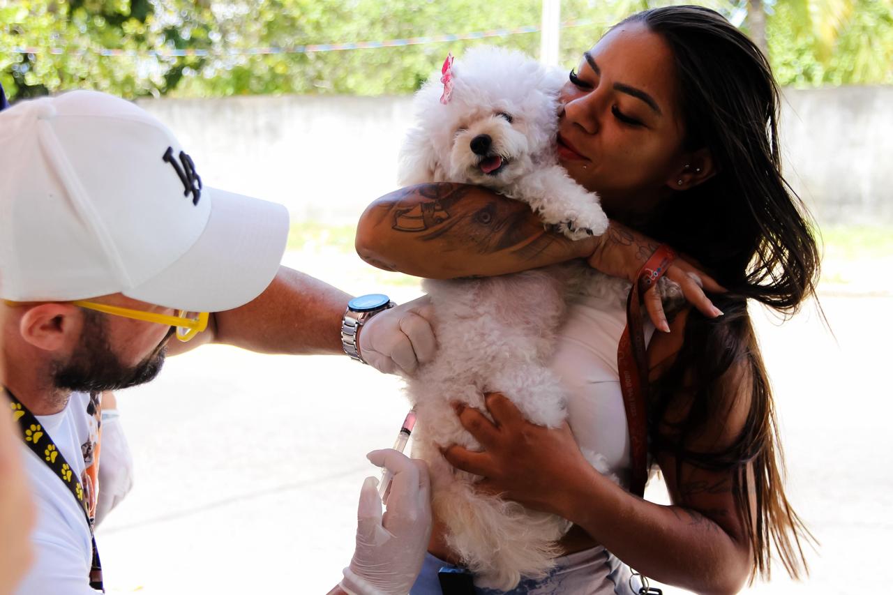 WhatsApp Image 2025-08-02 at 13.56.04(1).jpeg