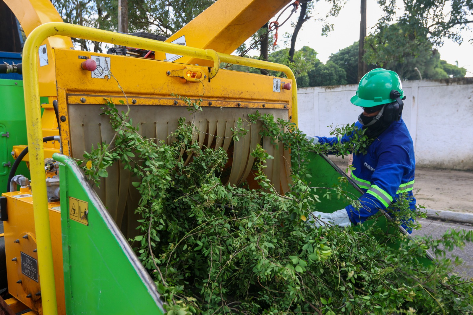 WhatsApp Image 2025-06-24 at 10.43.37 (1).jpeg