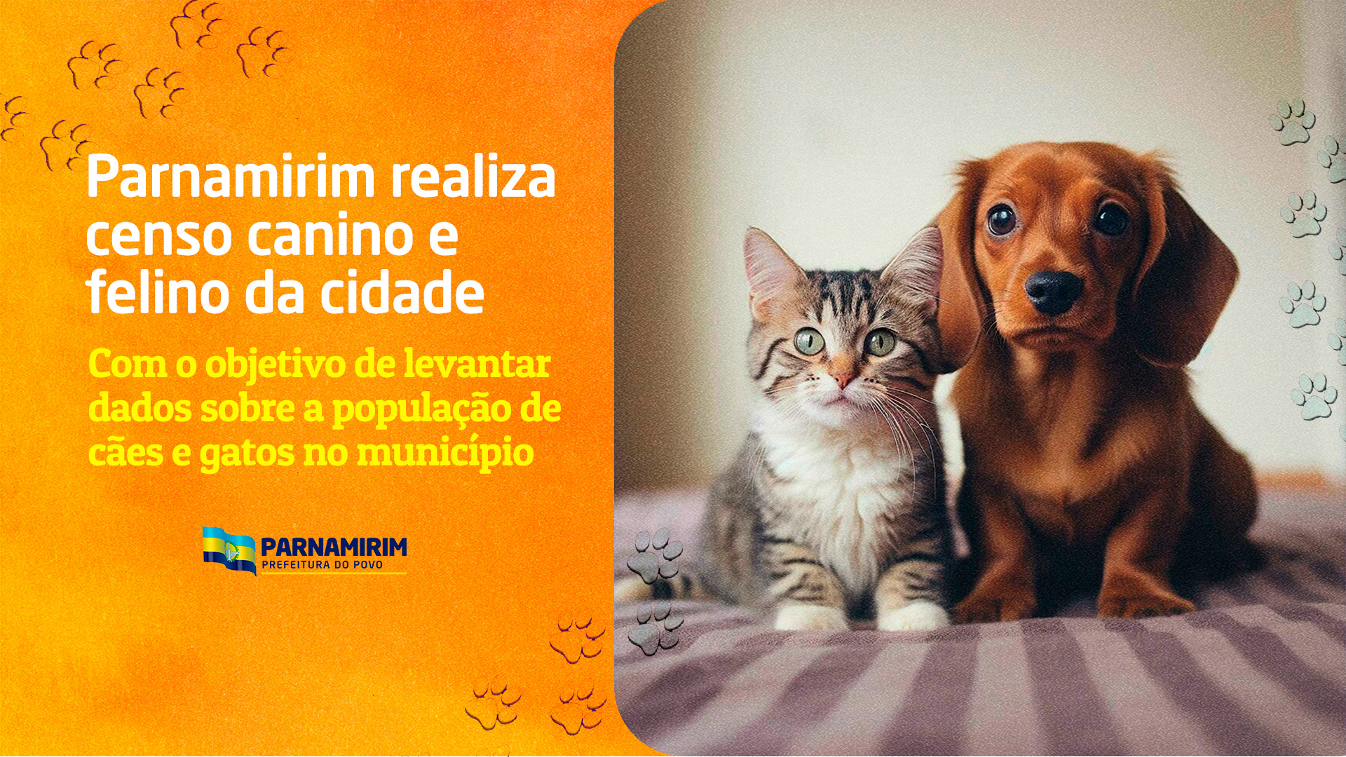 CENSO CAES E GATOS.jpg
