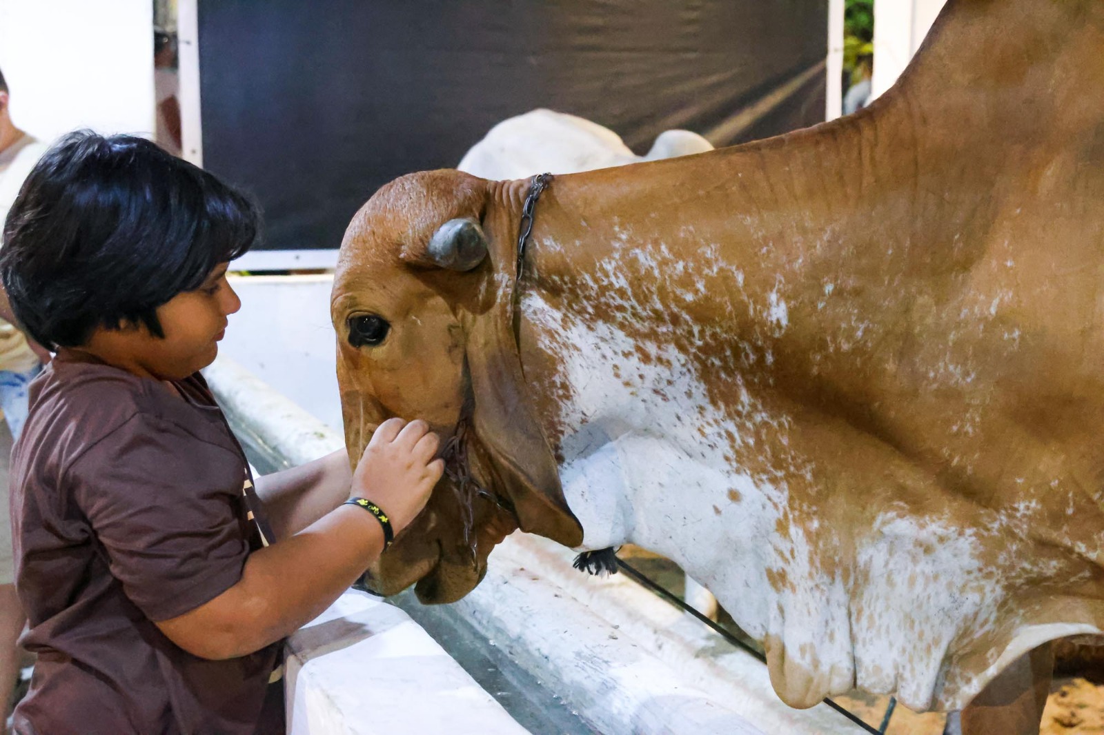 WhatsApp Image 2025-10-11 at 21.19.57 (12).jpeg