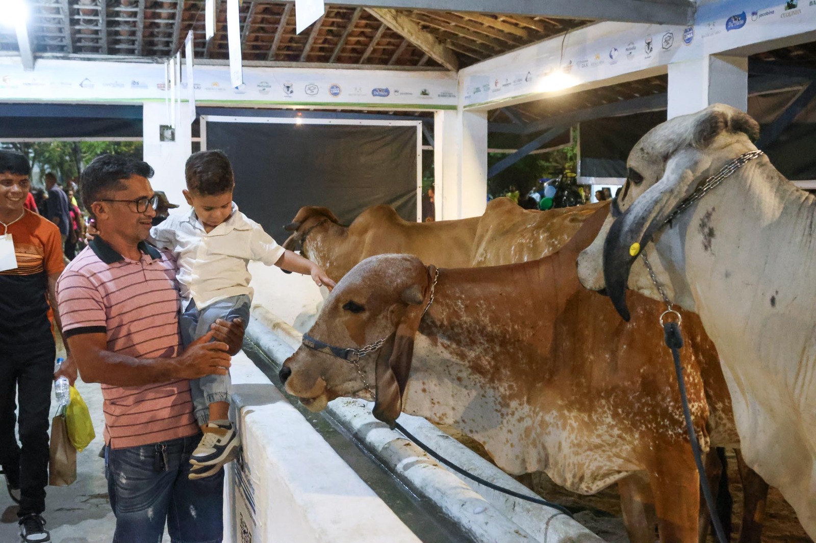 WhatsApp Image 2025-10-11 at 21.19.57 (11).jpeg