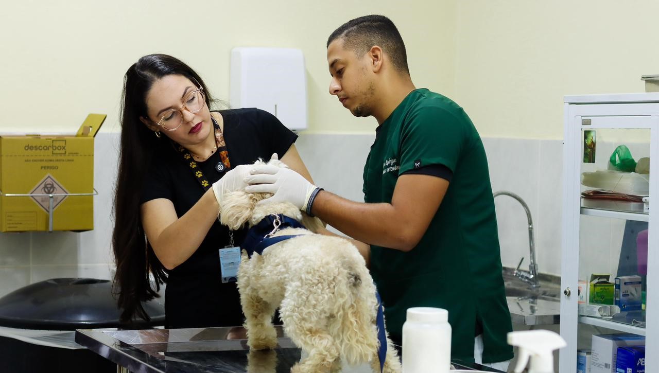 WhatsApp Image 2025-10-17 at 16.20.18.jpeg