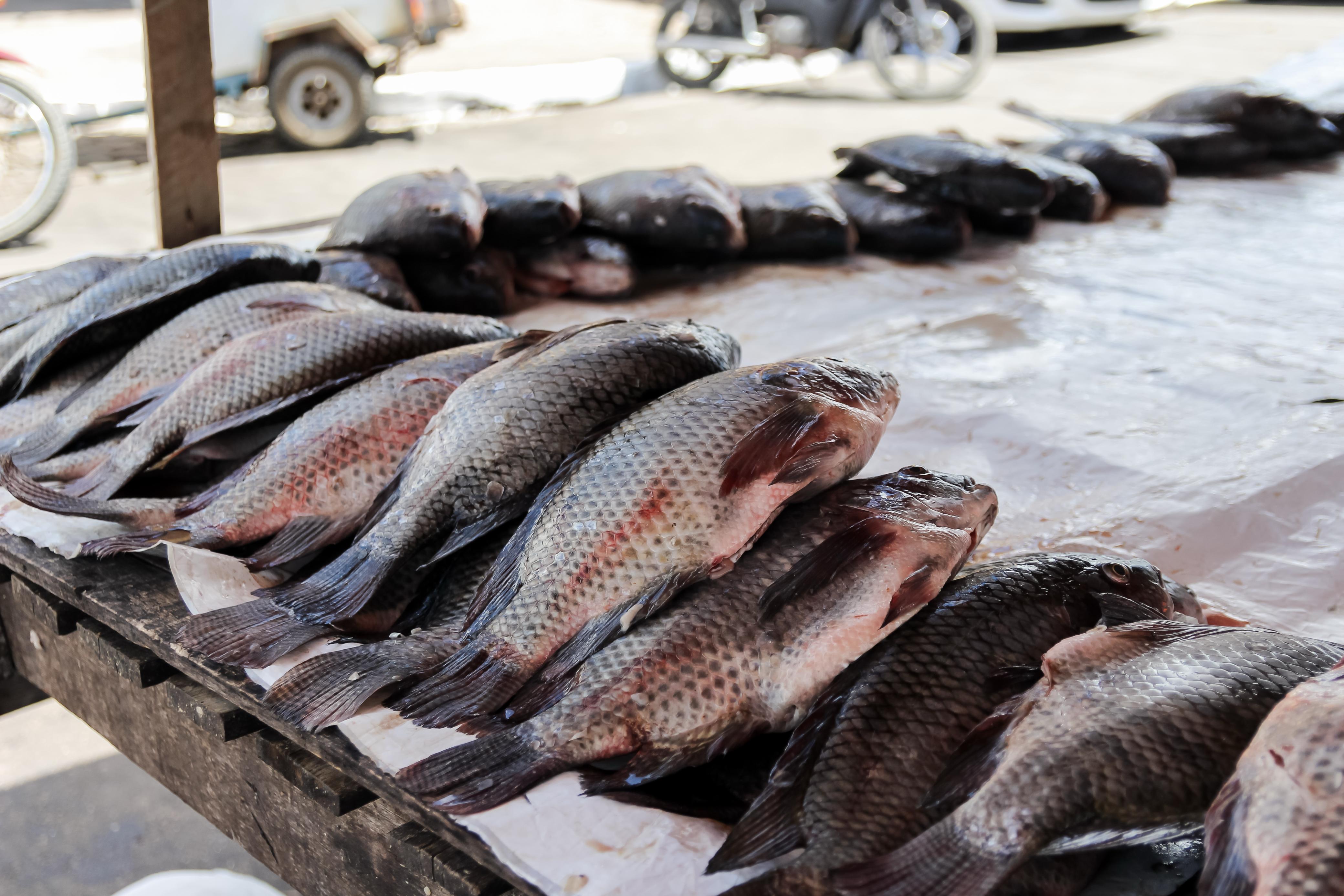 WhatsApp Image 2025-04-16 at 14.02.45 (1).jpeg