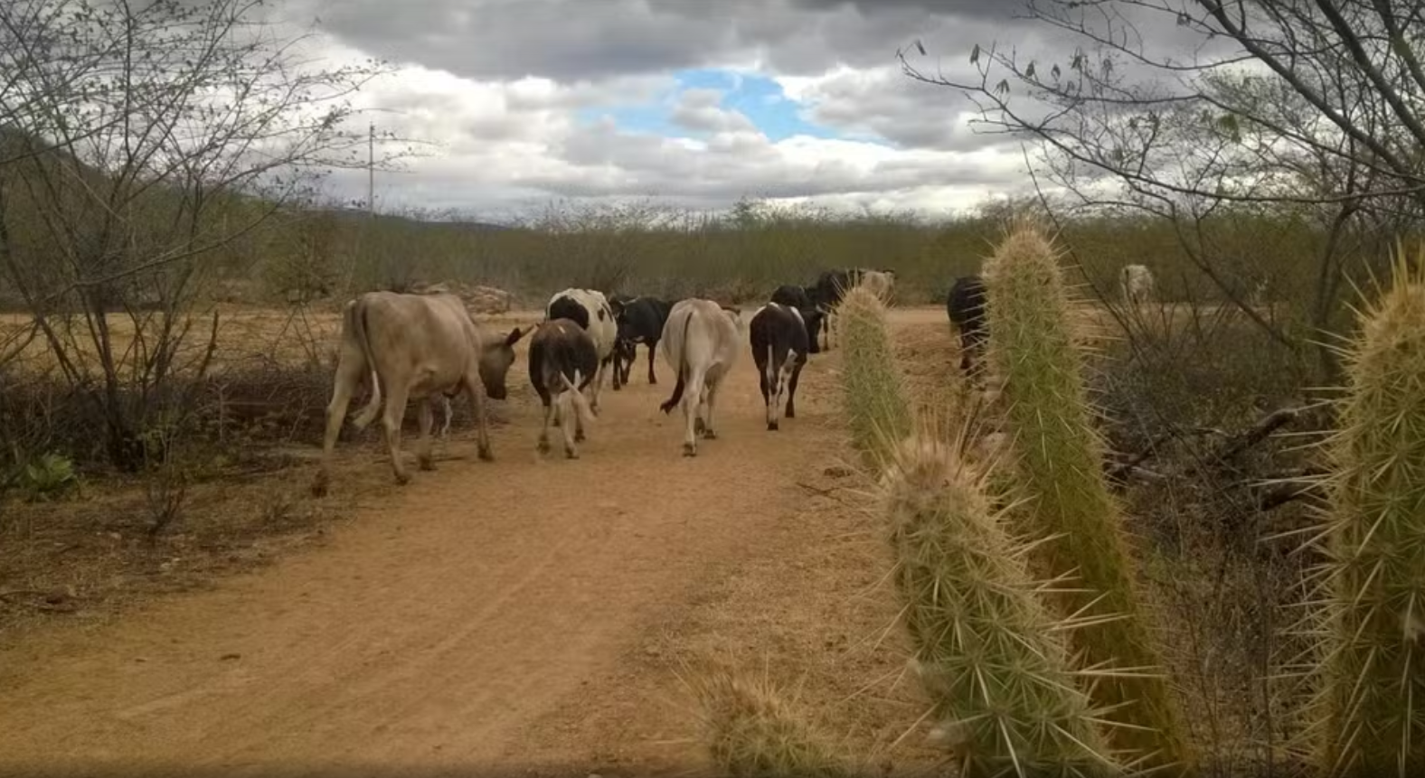 Captura de tela 2025-10-23 144050.png