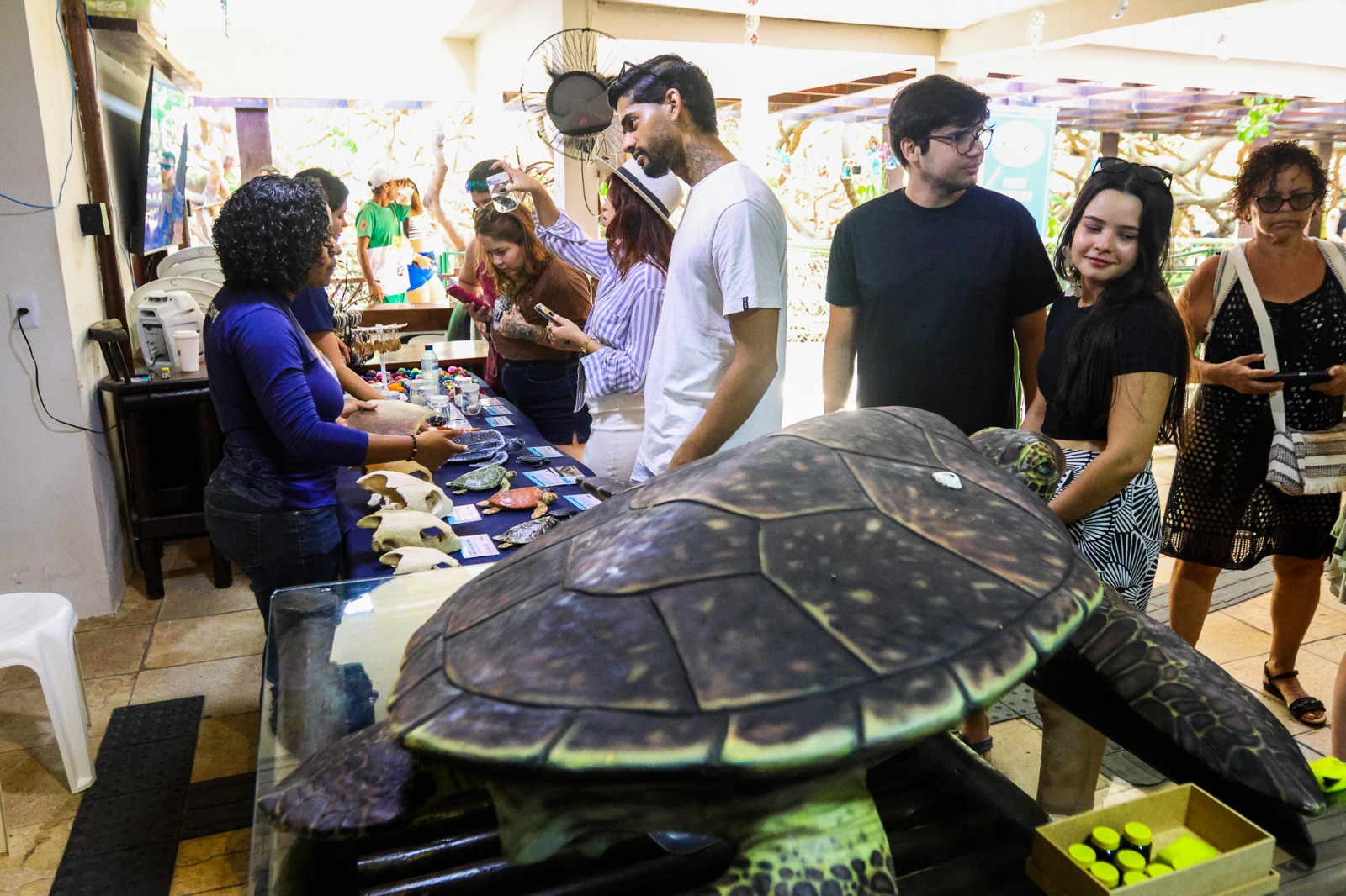 WhatsApp Image 2025-06-07 at 12.49.34 (18).jpeg