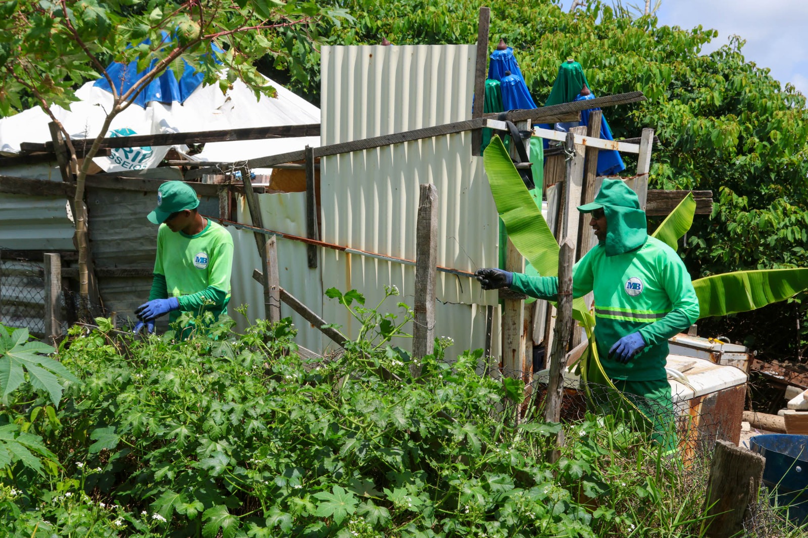 WhatsApp Image 2025-09-23 at 19.14.05.jpeg