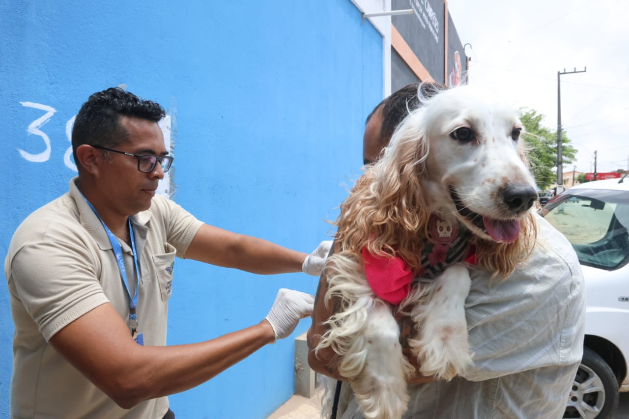 WhatsApp Image 2025-09-15 at 10.18.39 (2).jpeg